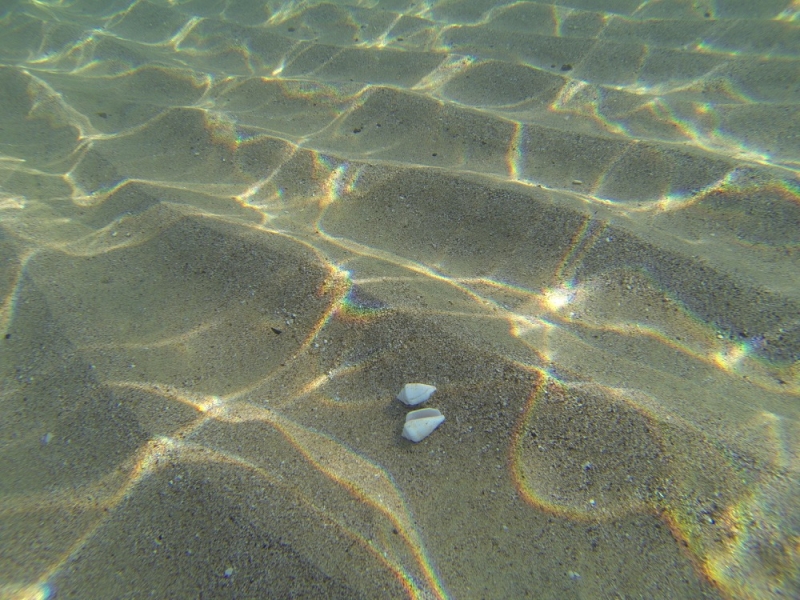 2015_Sandy_Beach_Fujairah_Underwater10