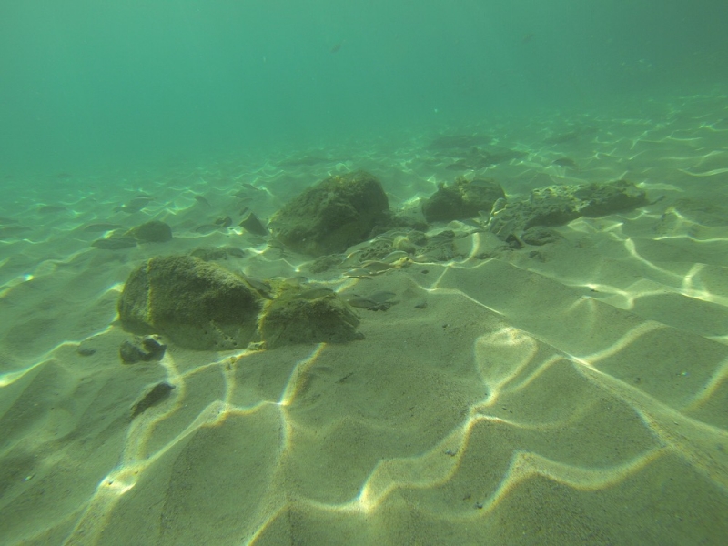 2015_Sandy_Beach_Fujairah_Underwater4