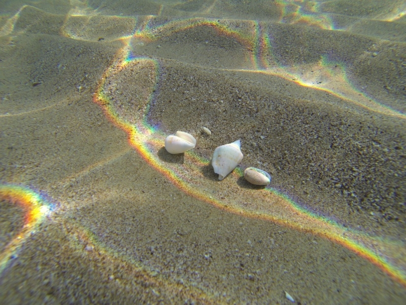 2015_Sandy_Beach_Fujairah_Underwater7
